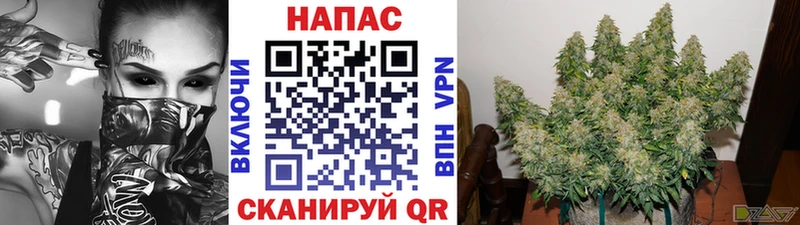 kraken ТОР  Горнозаводск  Шишки марихуана Bruce Banner  цены  